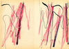 Sans titre, 1997.