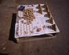 Sport/Culture-Chennai, 2007.