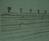 Skizze « Les boules-Wuhan », 2005.
