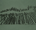 Skizze « Sans titre-Fès », 2005.