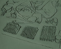 Skizze « Change-Calcutta », 2006.