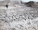 Homme — Khotan — 2014