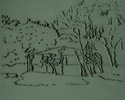 Skizze « Zoo-Thiruvananthapuram », 2007.