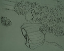 Skizze « Fleurs-Thiruvananthapuram », 2007.
