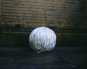 Boule-Jaipur, 2006.