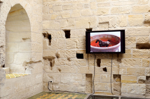 Prise, 2008.