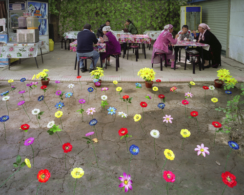 Fleurs-Osh, 2015.