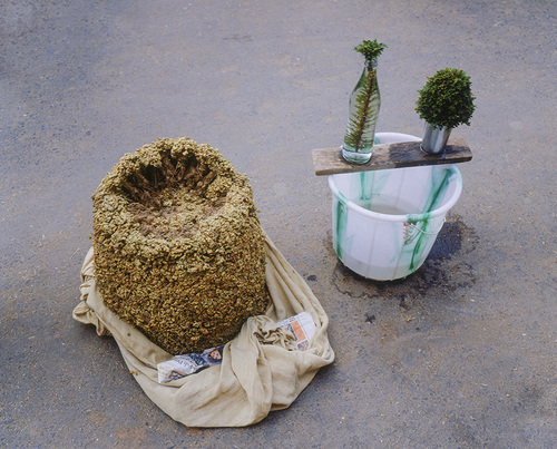 Vert-Chennai, 2007.