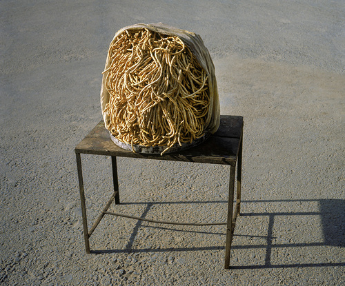 Tas 1-Jaipur, 2006.