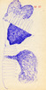 Sans titre, 1994.