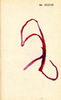 Sans titre, 1994.