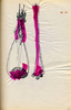 Sans titre, 1996.