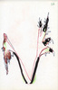Sans titre, 1997.