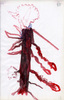 Sans titre, 1997.