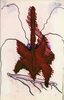 Sans titre, 1997.