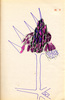 Sans titre, 1996.
