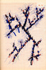 Sans titre, 1996.