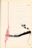 Sans titre, 1996.