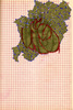 Sans titre, 1994.