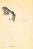 Sans titre, 1994.
