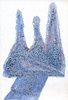 Sans titre, 1998.
