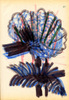 Sans titre, 1999.
