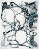 Infini (35/75), 2005