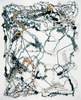 Infini (30/75), 2005